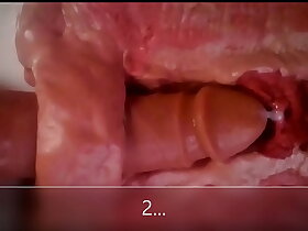 Close with reference to & internal view of anal dildo fucking